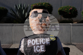Immigration Enforcement California