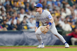 Cubs Convention Baseball