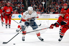 Panthers Hurricanes Hockey