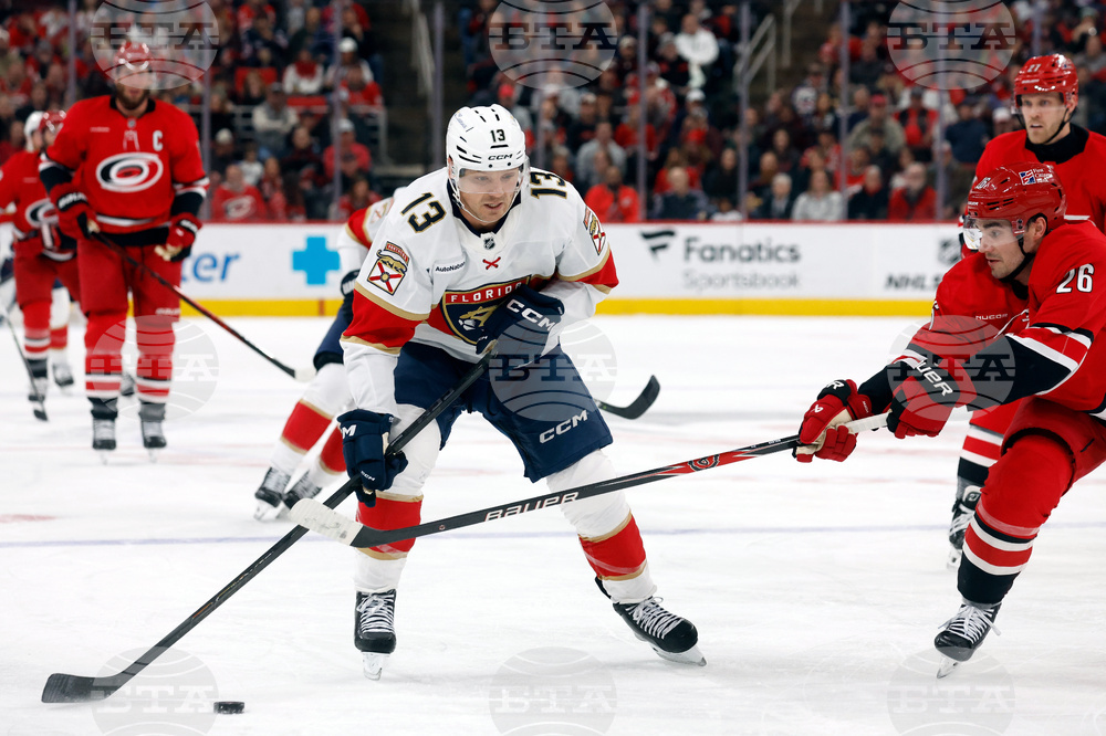 Panthers Hurricanes Hockey