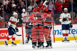 Panthers Hurricanes Hockey