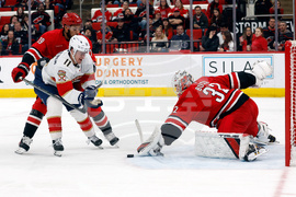 Panthers Hurricanes Hockey