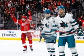 Sharks Red Wings Hockey