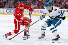 Sharks Red Wings Hockey