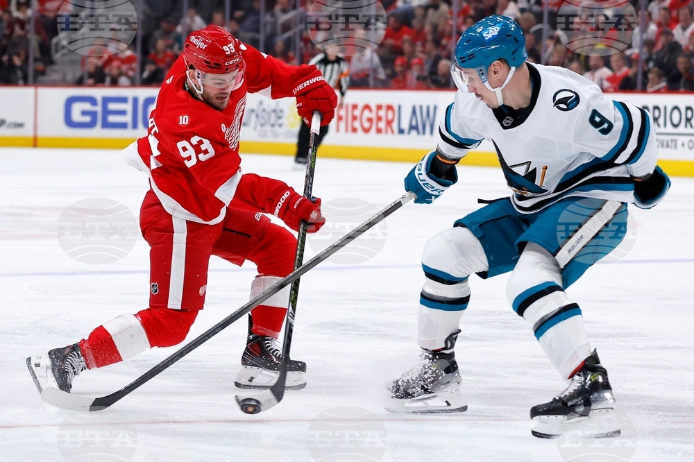 Sharks Red Wings Hockey