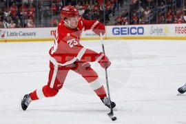 Sharks Red Wings Hockey