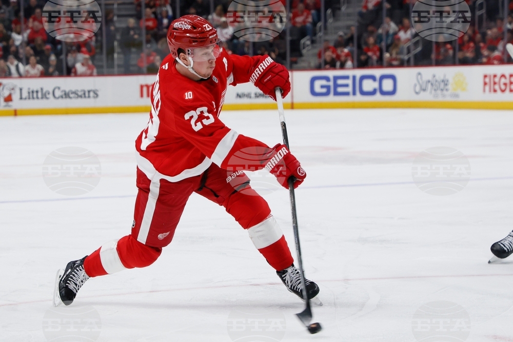 Sharks Red Wings Hockey