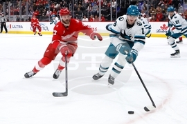 Sharks Red Wings Hockey