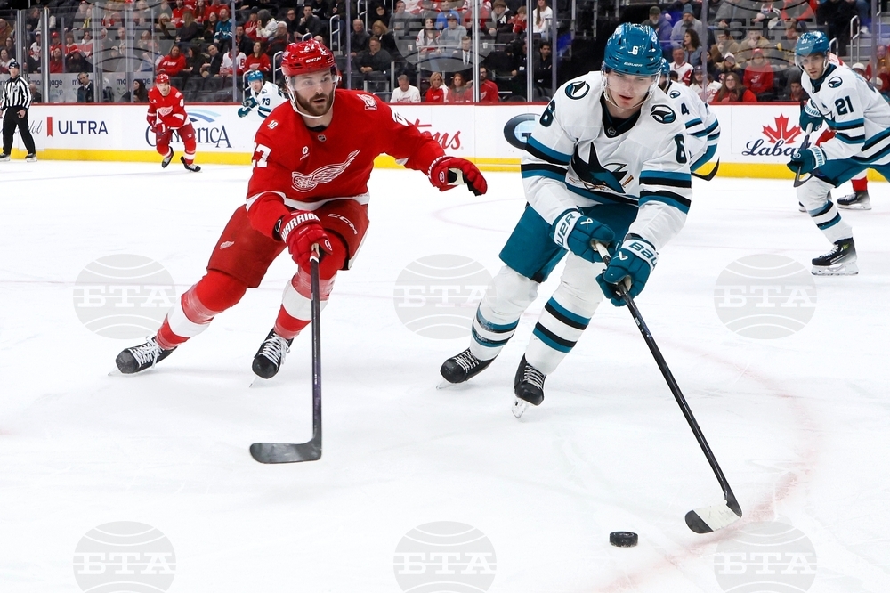 Sharks Red Wings Hockey