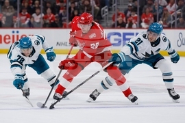 Sharks Red Wings Hockey