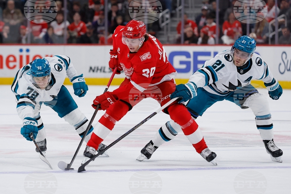 Sharks Red Wings Hockey