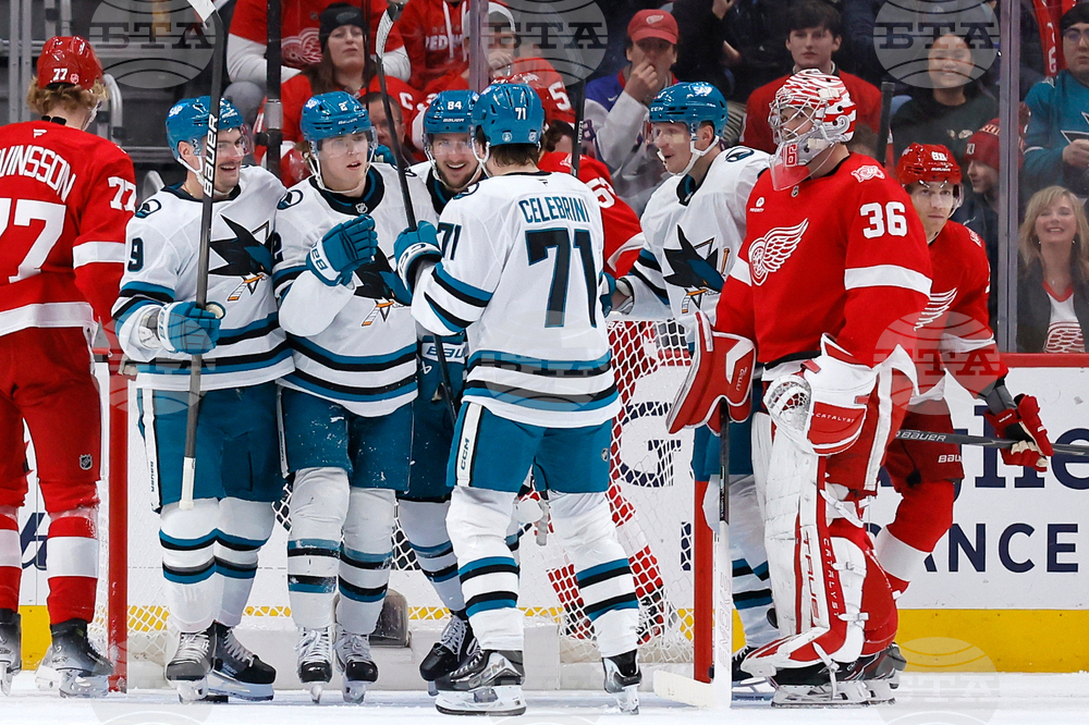 Sharks Red Wings Hockey