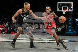 Bulls Nets Basketball