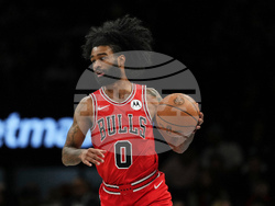 Bulls Nets Basketball