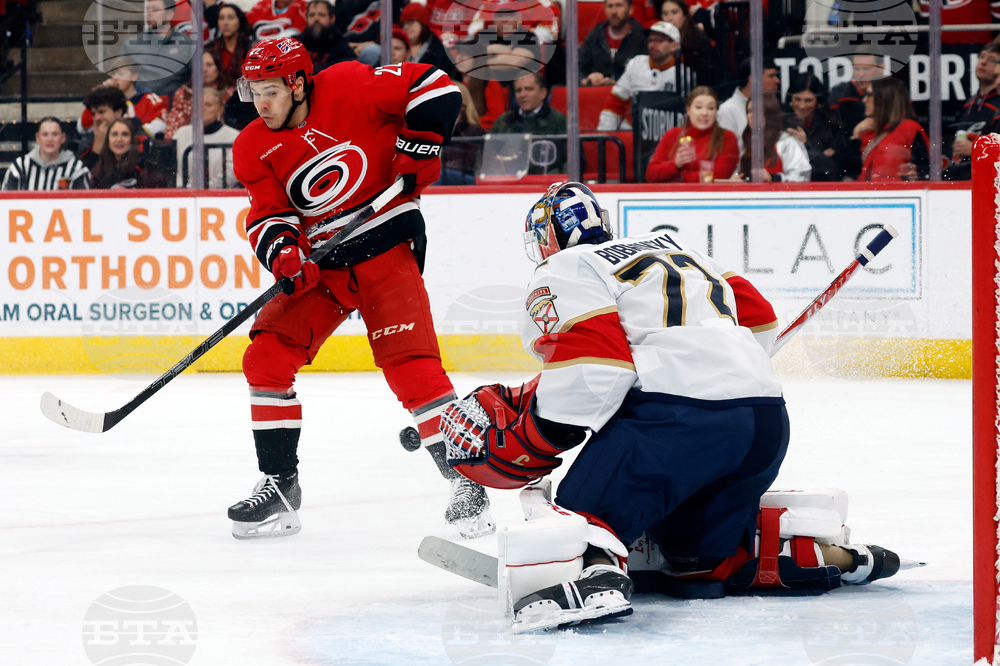 Panthers Hurricanes Hockey