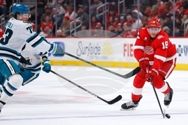 Sharks Red Wings Hockey
