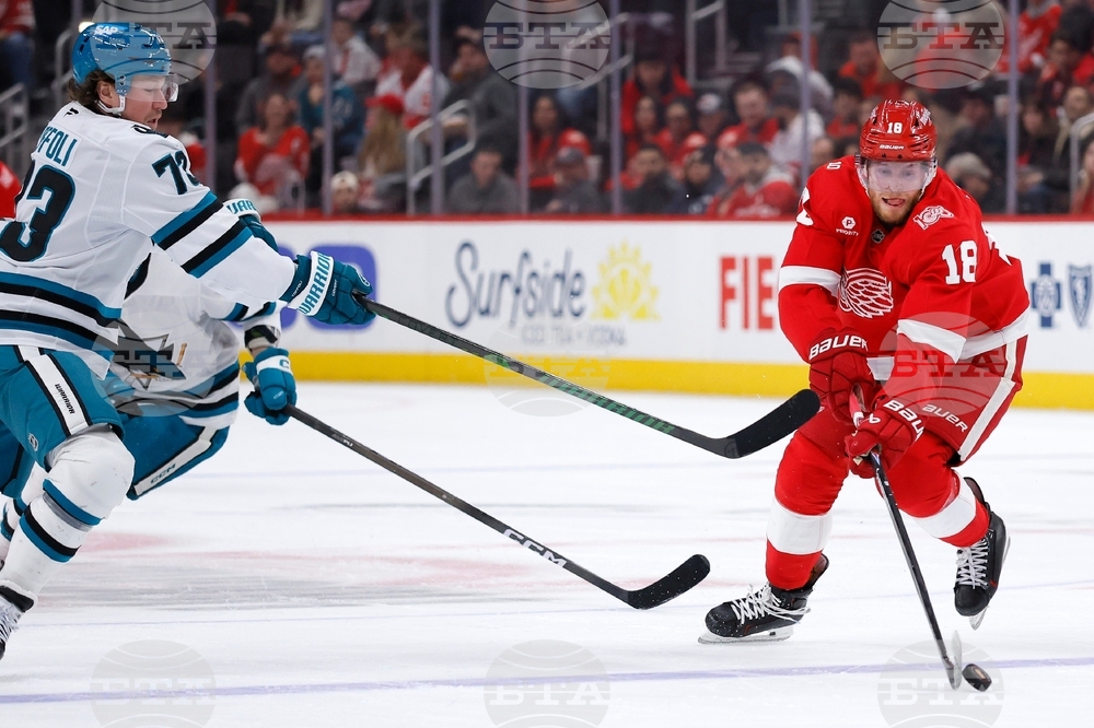 Sharks Red Wings Hockey