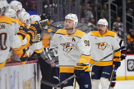 Predators Avalanche Hockey