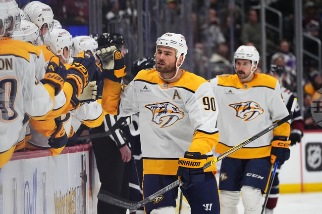 Predators Avalanche Hockey