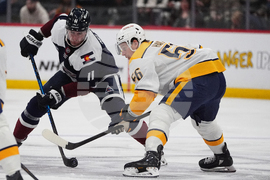 Predators Avalanche Hockey