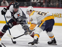 Predators Avalanche Hockey