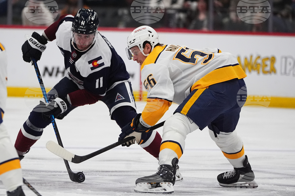 Predators Avalanche Hockey