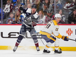 Predators Avalanche Hockey