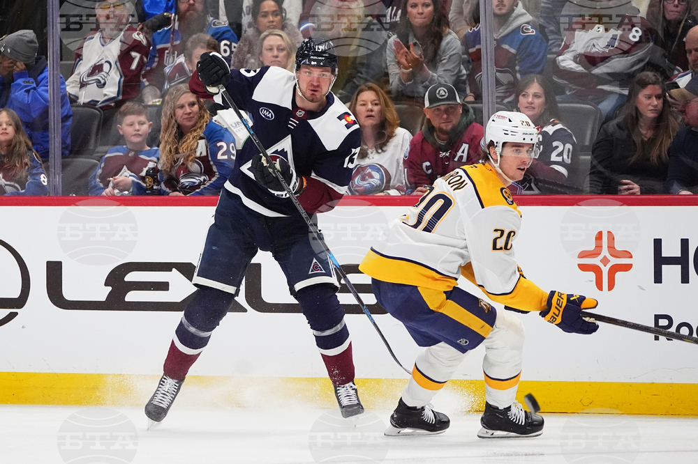 Predators Avalanche Hockey