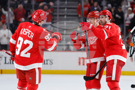 Sharks Red Wings Hockey