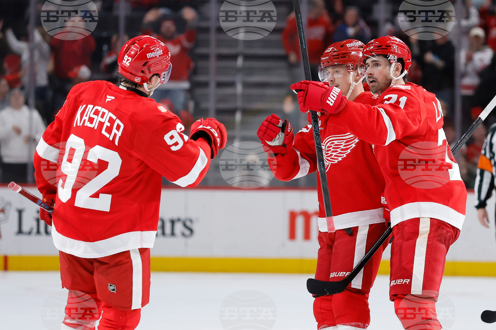 Sharks Red Wings Hockey