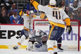 Predators Avalanche Hockey