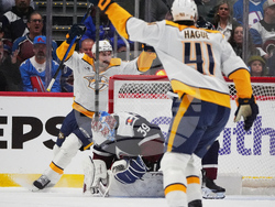 Predators Avalanche Hockey