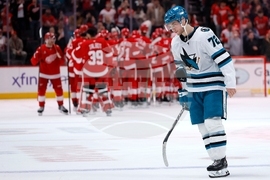 Sharks Red Wings Hockey