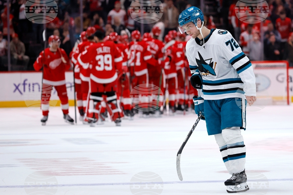 Sharks Red Wings Hockey