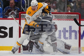 Predators Avalanche Hockey