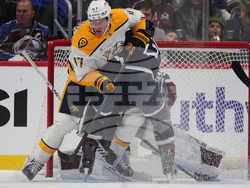 Predators Avalanche Hockey