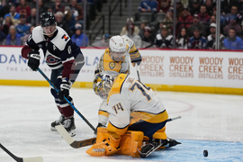 Predators Avalanche Hockey