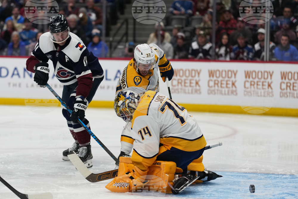 Predators Avalanche Hockey