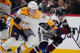 Predators Avalanche Hockey
