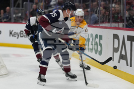Predators Avalanche Hockey