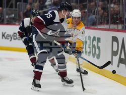 Predators Avalanche Hockey