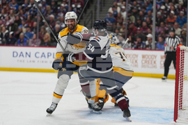 Predators Avalanche Hockey