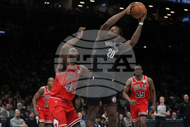 Bulls Nets Basketball