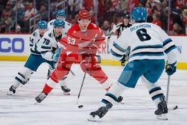 Sharks Red Wings Hockey
