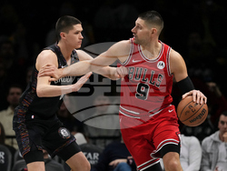 Bulls Nets Basketball
