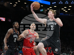 Bulls Nets Basketball