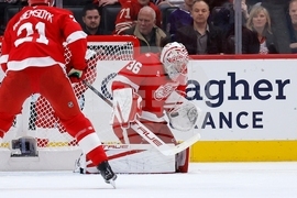 Sharks Red Wings Hockey