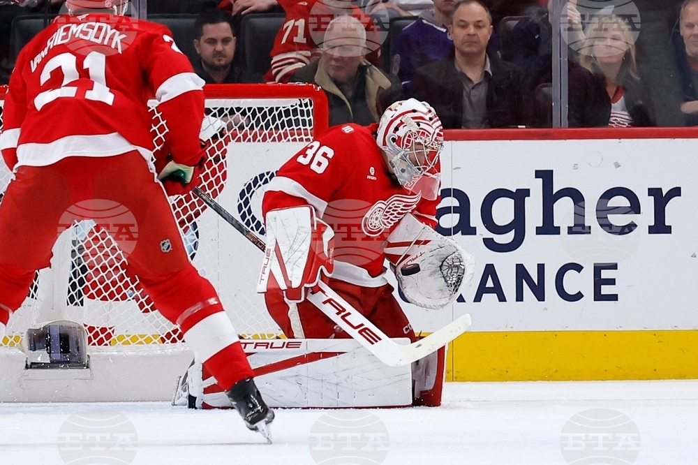 Sharks Red Wings Hockey