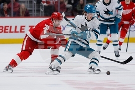 Sharks Red Wings Hockey