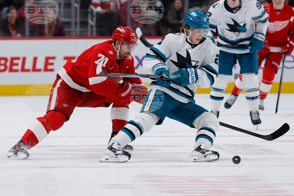 Sharks Red Wings Hockey